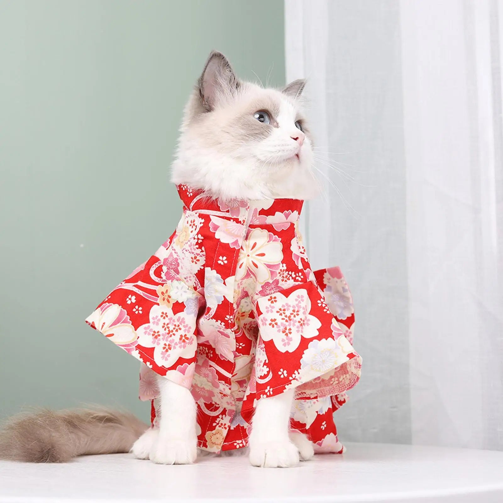 Cat Kimono Dress Autumn and Winter Cute Pet Dress Cat Costume Flower Pattern Clothes for Kitten Puppy