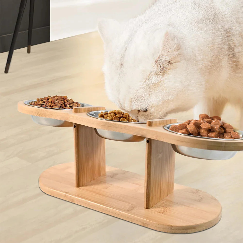 Raised Cat Feeder 3 Bowls in 1 Feeding & Watering Supplies 15° Raised Puppy 3 Stainless Steel Bowls